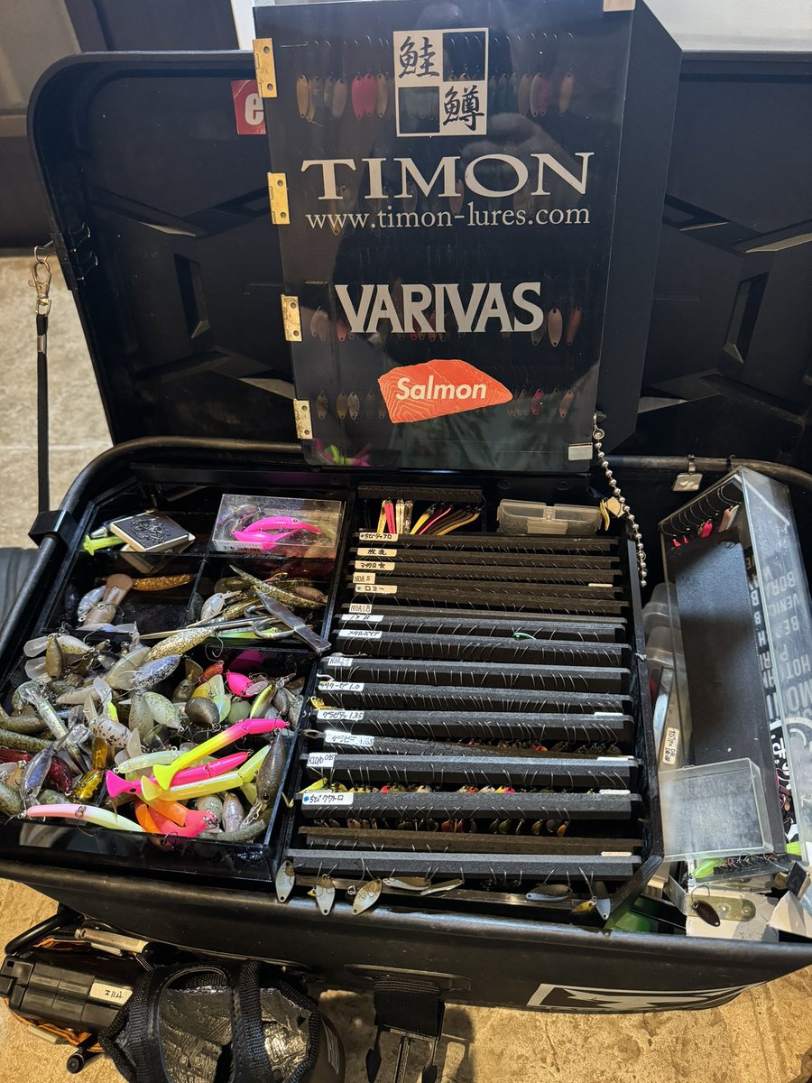 車を開けたらバッカン頭からひっくり返って落ちた…

一旦蓋を閉じて無かったことにする。

#やだやだやだやだ