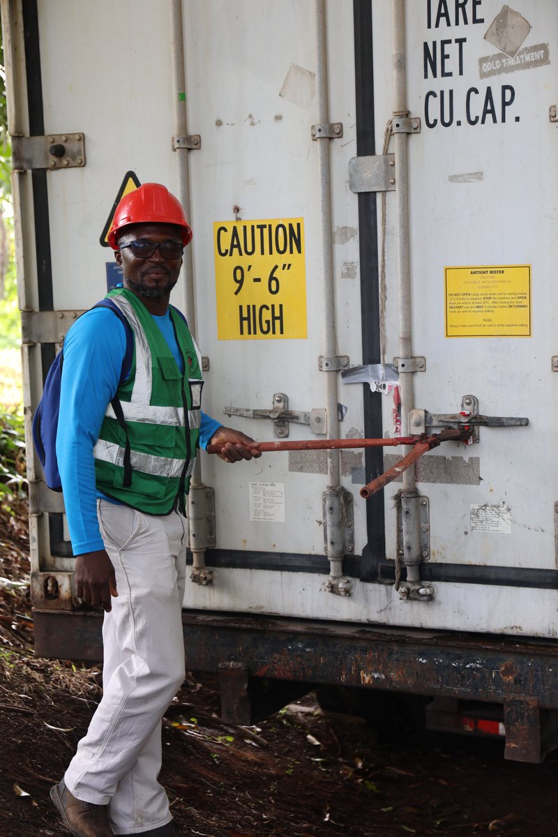 moagrenada's tweet photo. 🌴 Big boost for Grenada's coconut industry! 🇬🇩

With World Bank support, two coconut varieties from Mexico arrived to revive local production hit by past hurricanes &amp; pests.
✅Container inspected &amp; offloaded
👨‍🌾 Nurseries now in prep via Agri Extension Teams!
 #Agriculture473 https://t.co/j6Cp3CkVKv