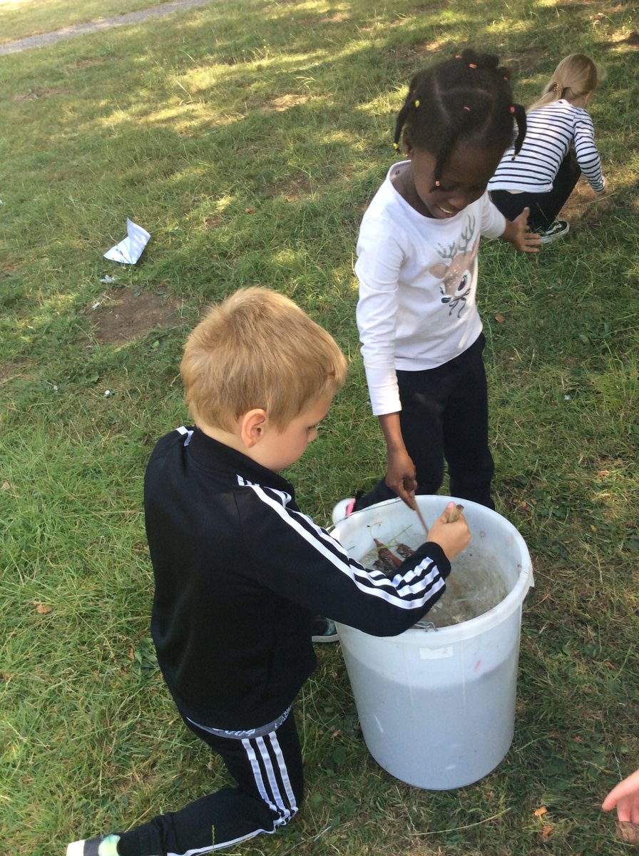 Freeman CP School tweet media