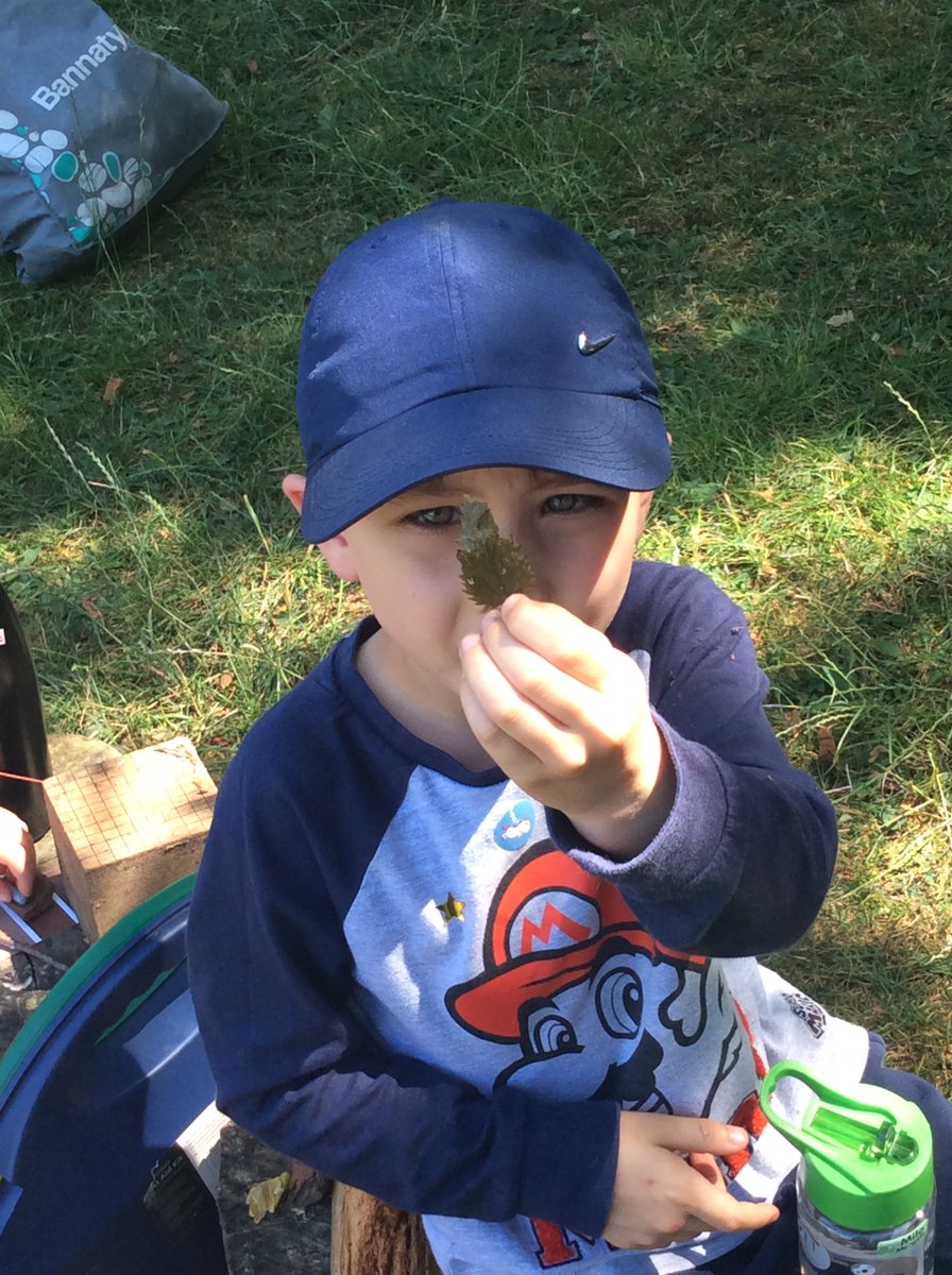 Freeman CP School tweet media