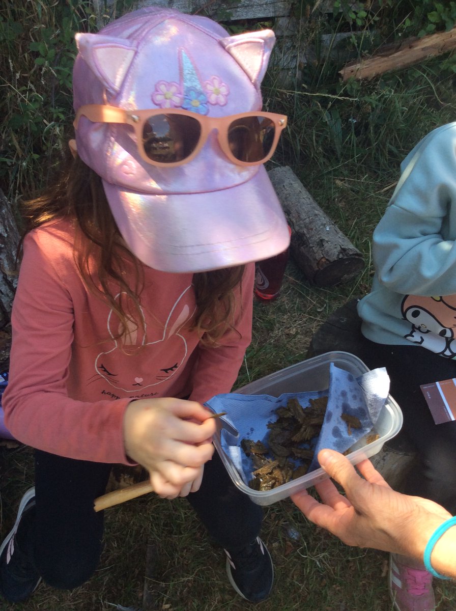 Cherry Class tried stinging nettle crisps for the first time in Forest School. The majority of the class LOVED them! They gave them 10/10 and some said that they tasted like salted popcorn.