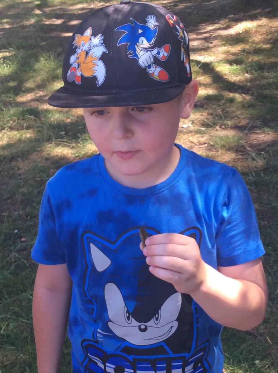 Freeman CP School tweet media