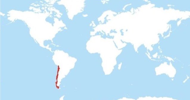 En color rojo los países en los que el encargado de recaudar impuestos no paga los suyos.
<a href="/SII_Chile/">SII</a> <a href="/GobiernodeChile/">Gobierno de Chile</a>