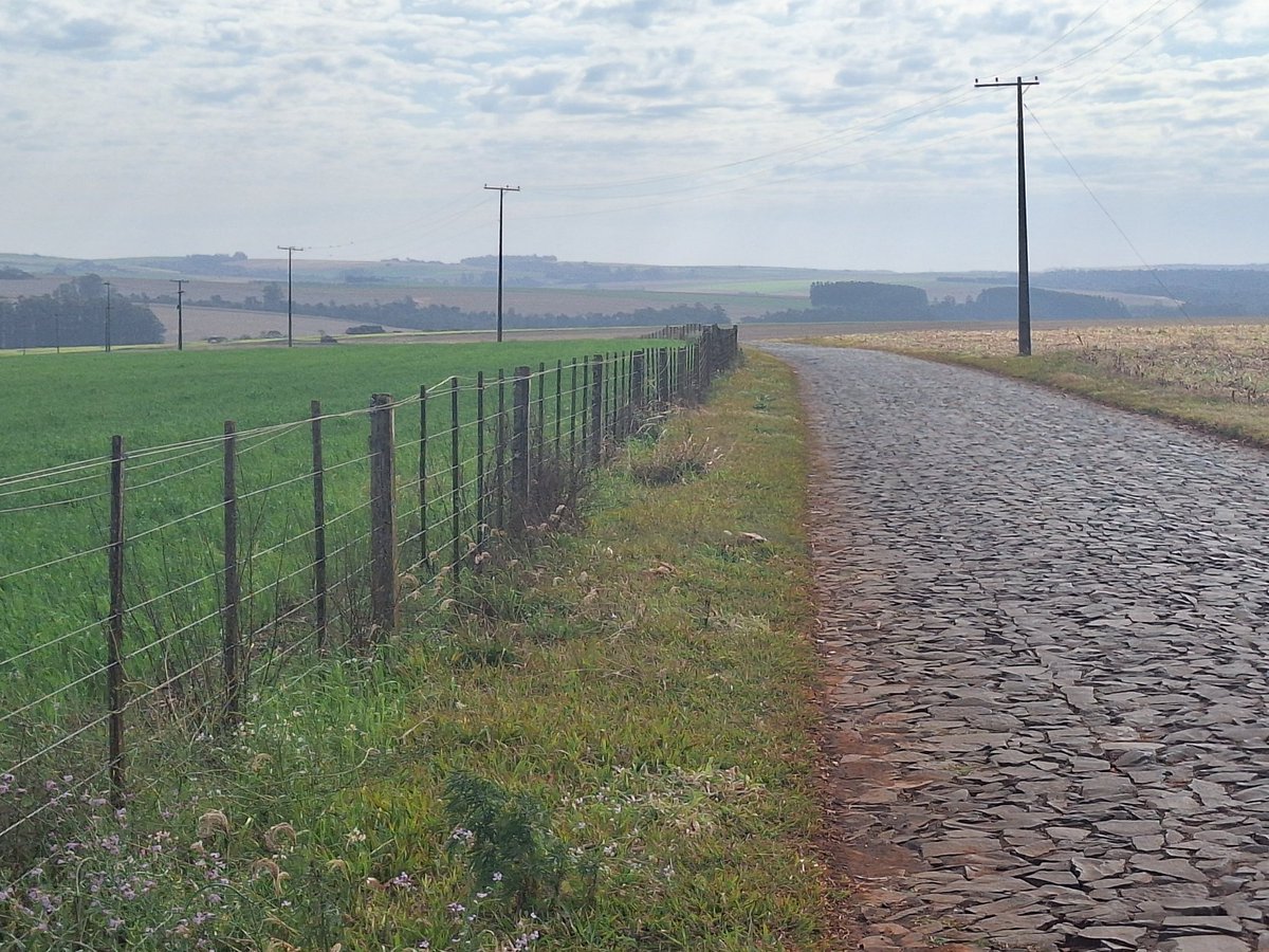 Caminos vecinales empedrados por productores de la zona. El Agro mueve al país!