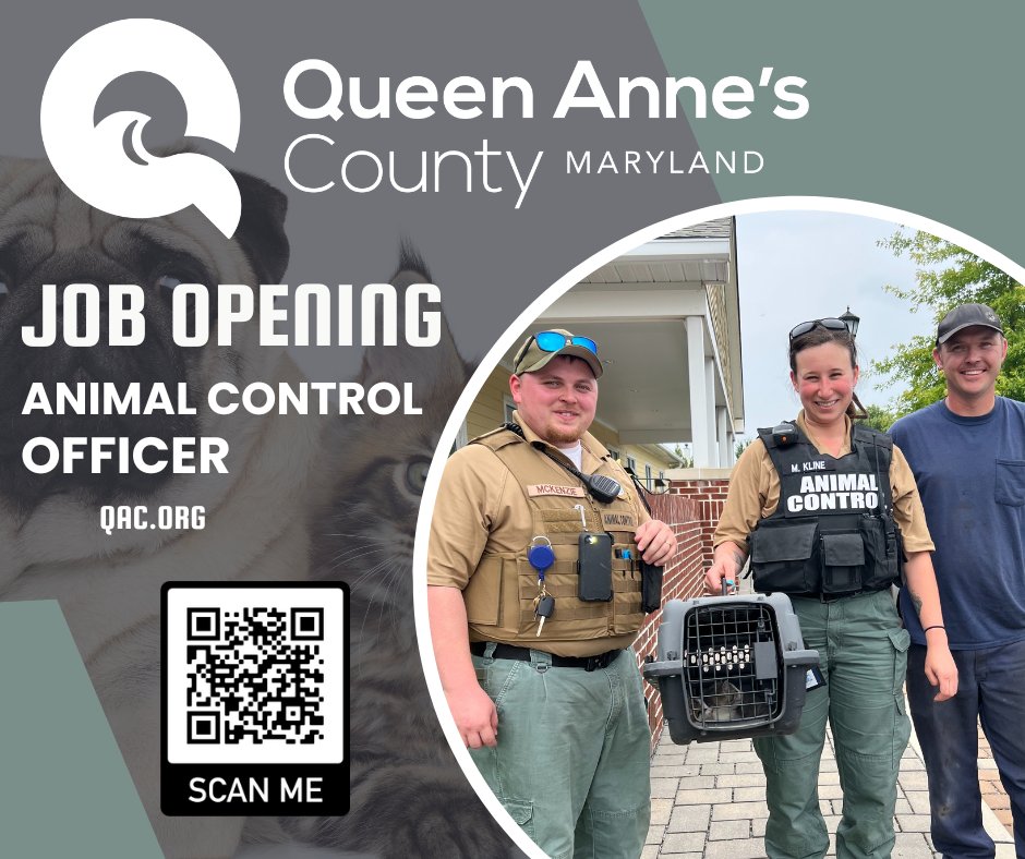 QACAnimals's tweet photo. Animal Control Officer - Public Works Animal Services
Posting Start &amp; End Date07/09/2025 - 07/23/2025, EOE
Salary Range, $44,764.00-$86,206.00 - Full-Time

To apply: https://t.co/TD8FhBwtCh
Benefits: https://t.co/sKupRKysXD https://t.co/MIsnSt1XT7