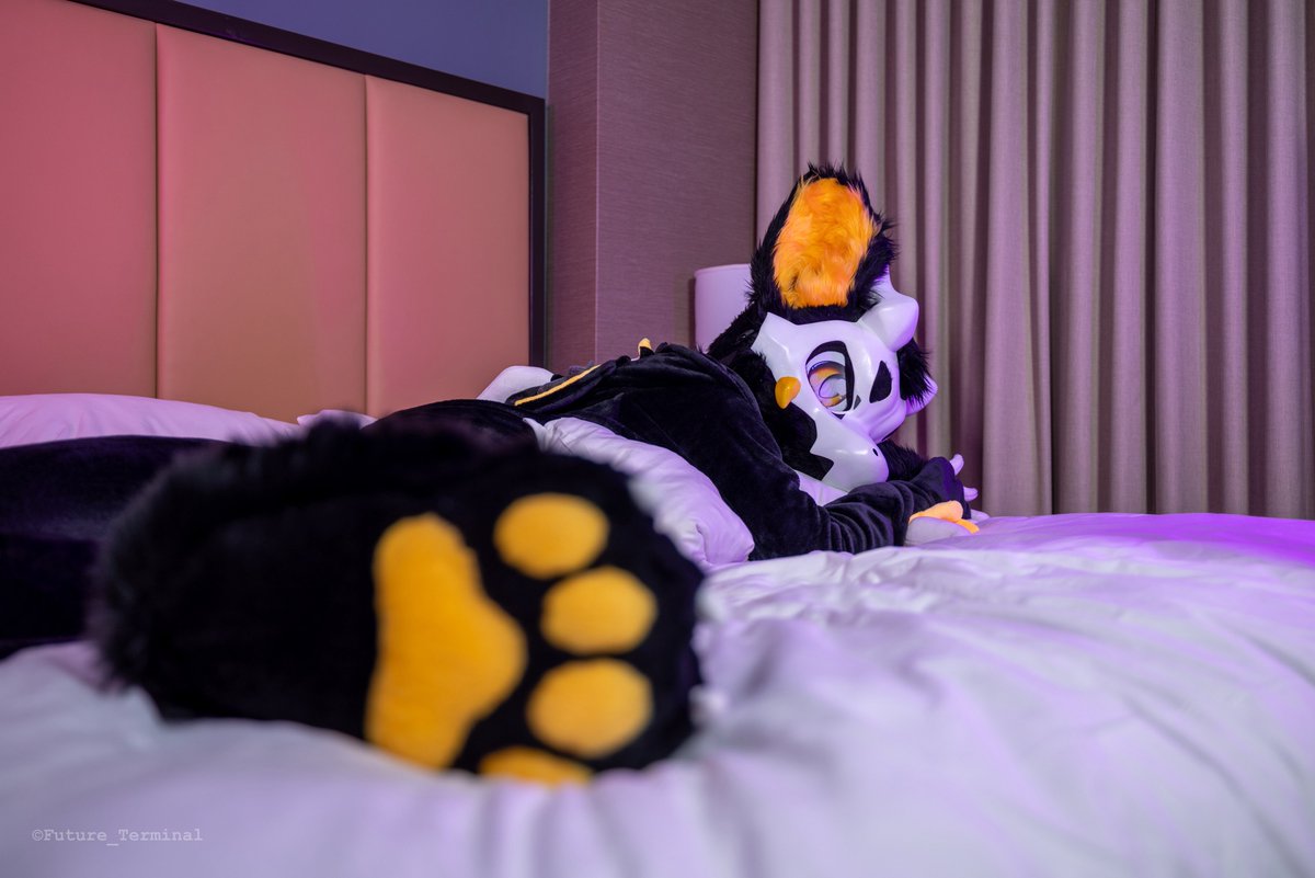 QDHfur's tweet image. 醒了
📸：@Future_Terminal