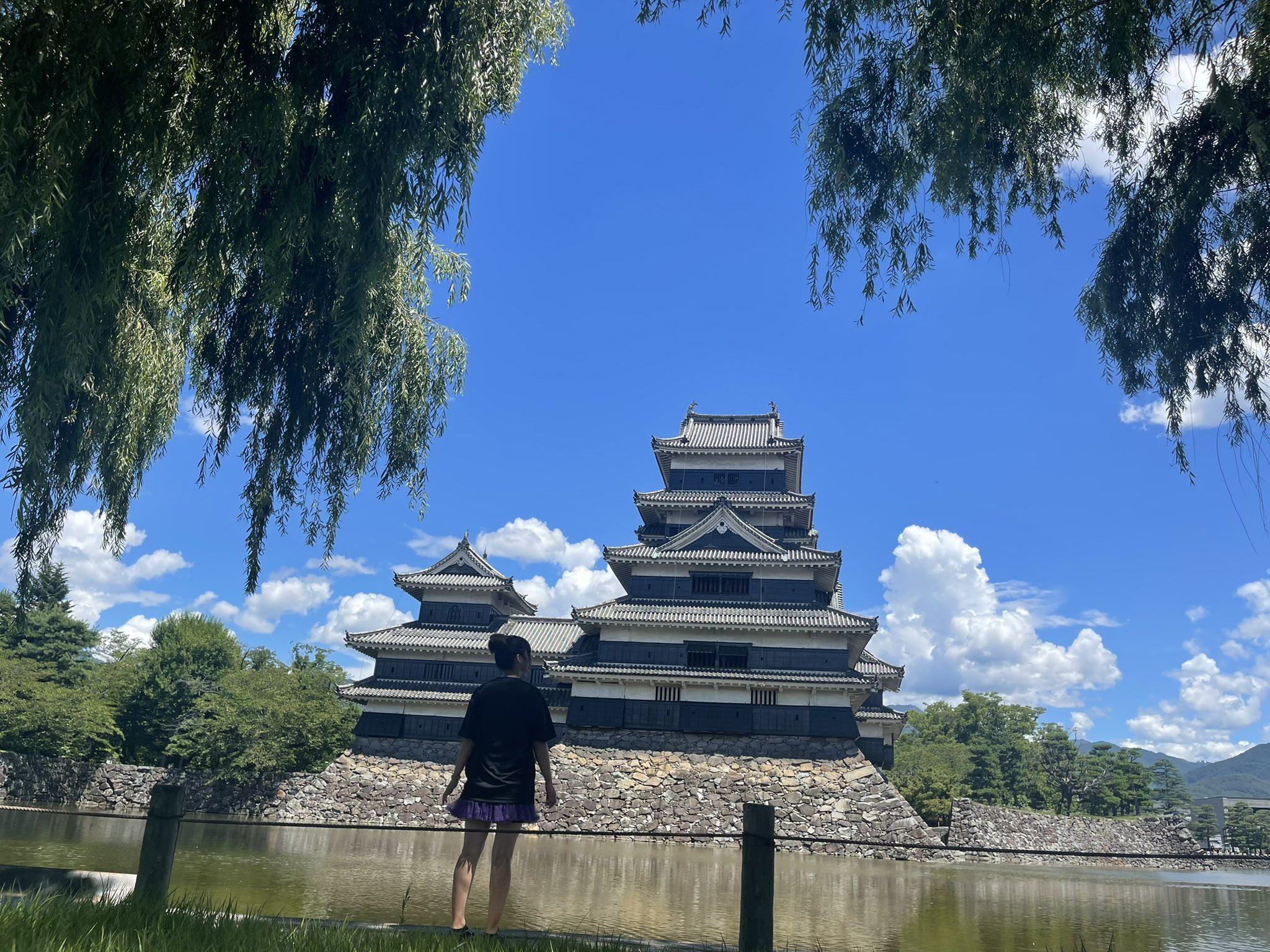 きりん【壁面飾り】まとめ3点 『菖蒲 と 太鼓橋』イチョウ並木と鹿・達磨 菖蒲&つばめ 壁面飾り 切り絵 ふわぽん 通販 15602335｜Creema