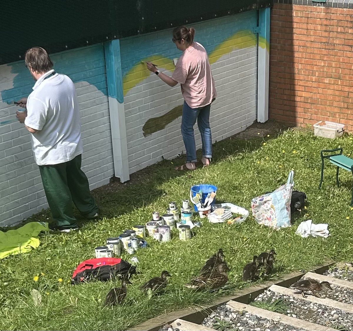 NeilCarrMPFT's tweet image. I really enjoyed meeting the under and post graduate design students from @wlv_uni today who were creating murals with help from our patients. They also had some other supervisors - our 🦆 family which has expanded significantly - we have duck families in most ward gardens now!