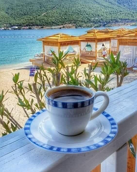 NİLÜFER (@nlf16) on Twitter photo CMS⏫
<a href="/Dfne_06/">Defne Nehir</a>
<a href="/Carzade1/">Çarzade</a>
<a href="/mavi_asi_ata_/">🦅🇹🇷_MAVİ_ASİ_🇹🇷🦅ATATÜRKÇÜ VE KEMALİST🦅 🇹🇷</a>
<a href="/Glsm21/">@Glsm</a>
<a href="/nlf16/">NİLÜFER</a>
<a href="/nryd37/">Nuray</a>
<a href="/zubus__/">Zübeyde</a>
<a href="/SrvtCar/">ÇARZADE</a>
<a href="/2_Talh/">Talha</a>
<a href="/Krklm/">𝓗𝓪𝓴𝓪𝓷</a>
<a href="/mkus27/">Mevlüt27⭐⭐⭐⭐⭐</a>
<a href="/SiirSL1/">🌬️@SiirSL1🎊🎊</a>
<a href="/SiirSL_/">𝗦𝗶𝗶𝗿𝗦𝗟_💣💯✌️💯✌️💯✌️</a>
<a href="/m_kayrak/">4535🌟🌟🌟🌟🌟</a>
<a href="/Anajbejeb/">Elazığ 2323</a>
<a href="/nykdmrl/">Nur🌙</a>
<a href="/1_drs42/">Dursun</a>
<a href="/ZynpYS15/">Zeyno</a>
<a href="/Akif2_/">𝓐 𝓴 𝓲 𝓯 ♡</a>
<a href="/2Rzgr/">𝐑 𝐮̈ 𝐙 𝐆 𝐚 𝐑 🦋</a>
<a href="/drssn_42/">Dursun</a>
<a href="/emineerkan1/">mina</a>
<a href="/lemanyargici/">Leman Yargıcı</a>
<a href="/mhmttt_3/">Memo3</a>
<a href="/EeeSaoh/">s.baha can</a>
<a href="/AyE8898/">Ay Nur DURU</a>
<a href="/Aslh1907/">Aslıhan🇹🇷💛💙🇹🇷</a>
<a href="/ZeTeamZ/">Zey</a>
<a href="/zafers3/">z.s krk</a> CMS⏫
<a href="/Dfne_06/">Defne Nehir</a>
<a href="/Carzade1/">Çarzade</a>
<a href="/mavi_asi_ata_/">🦅🇹🇷_MAVİ_ASİ_🇹🇷🦅ATATÜRKÇÜ VE KEMALİST🦅 🇹🇷</a>
<a href="/Glsm21/">@Glsm</a>
<a href="/nlf16/">NİLÜFER</a>
<a href="/nryd37/">Nuray</a>
<a href="/zubus__/">Zübeyde</a>
<a href="/SrvtCar/">ÇARZADE</a>
<a href="/2_Talh/">Talha</a>
<a href="/Krklm/">𝓗𝓪𝓴𝓪𝓷</a>
<a href="/mkus27/">Mevlüt27⭐⭐⭐⭐⭐</a>
<a href="/SiirSL1/">🌬️@SiirSL1🎊🎊</a>
<a href="/SiirSL_/">𝗦𝗶𝗶𝗿𝗦𝗟_💣💯✌️💯✌️💯✌️</a>
<a href="/m_kayrak/">4535🌟🌟🌟🌟🌟</a>
<a href="/Anajbejeb/">Elazığ 2323</a>
<a href="/nykdmrl/">Nur🌙</a>
<a href="/1_drs42/">Dursun</a>
<a href="/ZynpYS15/">Zeyno</a>
<a href="/Akif2_/">𝓐 𝓴 𝓲 𝓯 ♡</a>
<a href="/2Rzgr/">𝐑 𝐮̈ 𝐙 𝐆 𝐚 𝐑 🦋</a>
<a href="/drssn_42/">Dursun</a>
<a href="/emineerkan1/">mina</a>
<a href="/lemanyargici/">Leman Yargıcı</a>
<a href="/mhmttt_3/">Memo3</a>
<a href="/EeeSaoh/">s.baha can</a>
<a href="/AyE8898/">Ay Nur DURU</a>
<a href="/Aslh1907/">Aslıhan🇹🇷💛💙🇹🇷</a>
<a href="/ZeTeamZ/">Zey</a>
<a href="/zafers3/">z.s krk</a>