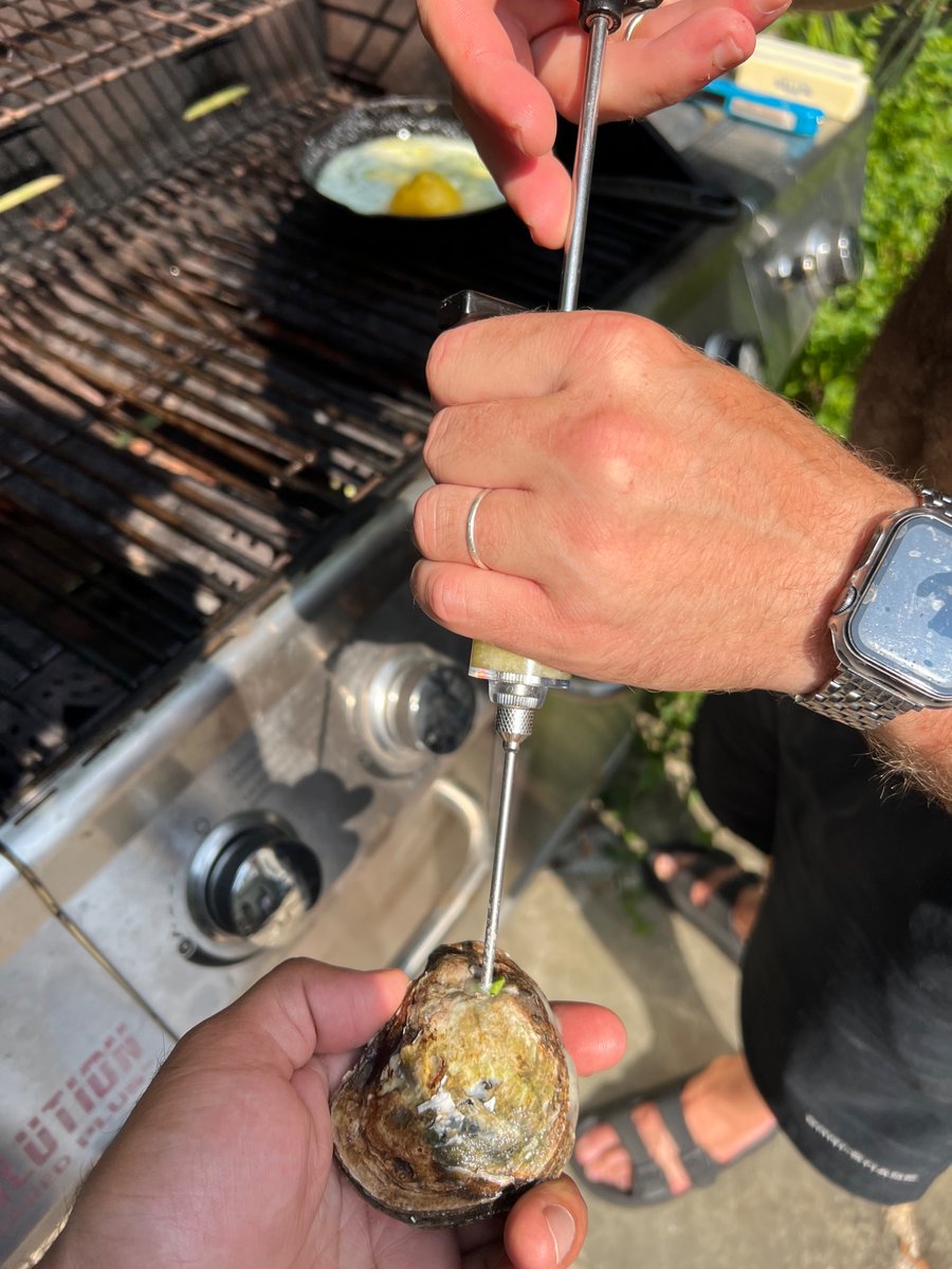 realJubileeJim's tweet image. Why are you, as a man, not currently drilling holes into oysters to inject them with butter before grilling them?