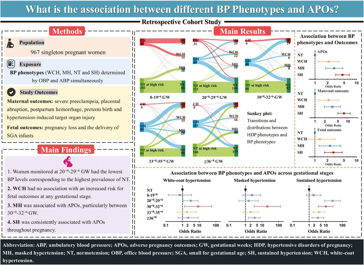Blood Pressure Phenotype Variations at Different Gestational Stages and Associated Pregnancy Risks 
🔗 academic.oup.com/ajh/article/38… 🔒 

#Pregnancy #Hypertension #PreEclampsia