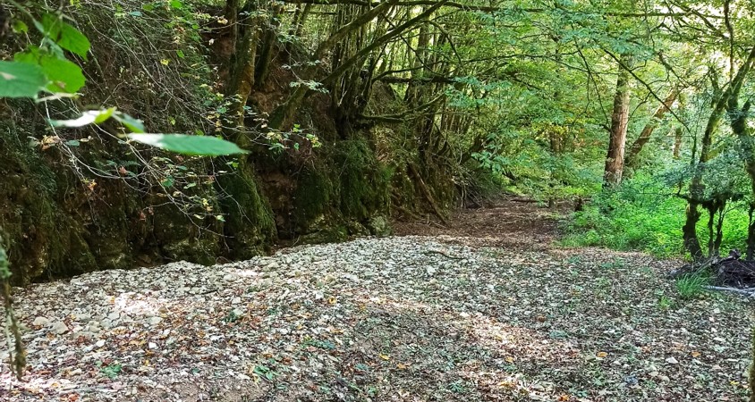 Another heat wave is hitting France ! Consider registering your favourite stream in #DRYRivERS to follow whether it is still flowing or it is drying! #dryingrivers #citizenscience
👉dryver.eu/app