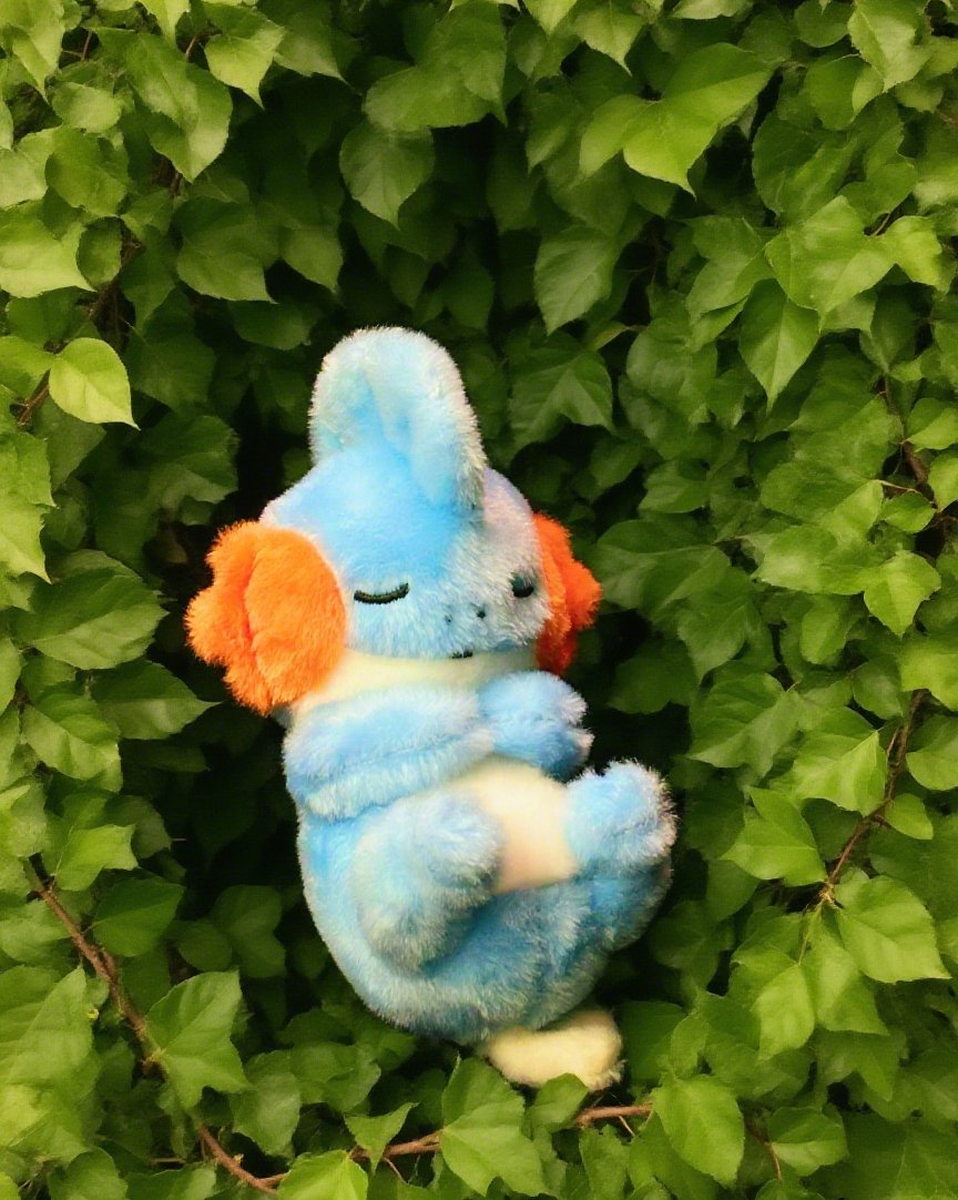 Idplayer2333's tweet image. 💧 Dreamy plush. Touchable reality.
🛒 puffo.net/product/mudkip…
#pokemon #pokémonMerch #plush #plushie #pokemongirl #pokemonplush #mudkip