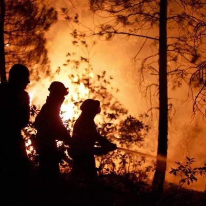 Mañana hace 20 años que a tod@s los que trabajamos en #IIFF se nos pusieron los pelos de punta y los ojos llenos de lágrimas por la muerte de 11 compañeros en el incendio que comenzó el día 16 en  #RibadeSaelices #Guadalajara
#17Julio2005