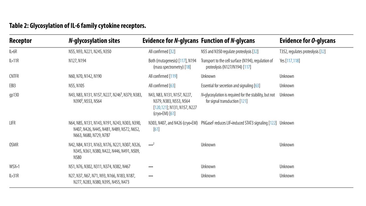 CzerwinsMarcin's tweet image. Interesting review about interleukin-6 family of cytokines (there are 9 of them), their receptors, and how glycosylation influences synthesis, receptor binding, signaling, stability, transport, ligand binding, internalization and recycling
tinyurl.com/vvrzab2r
#glycotime