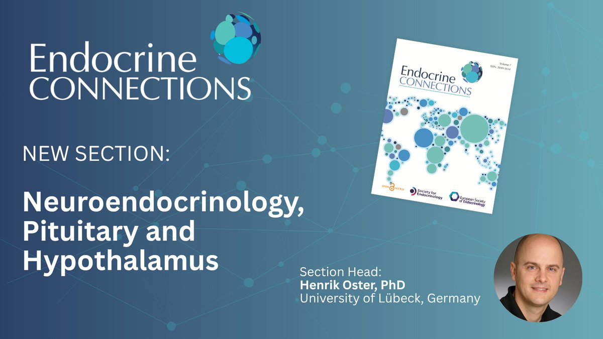 Endocrine Connections tweet media