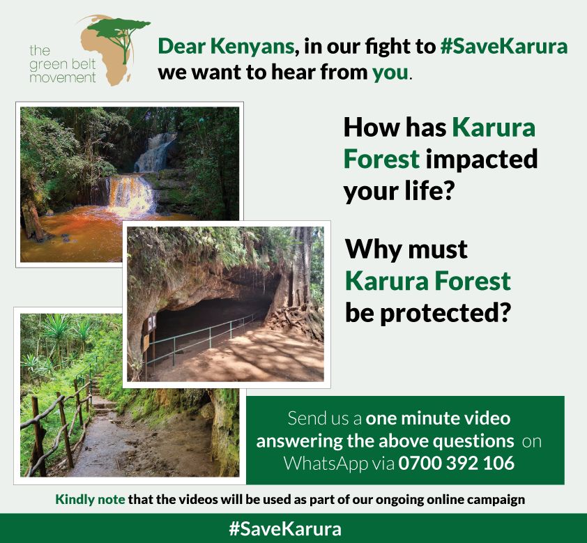 Green Belt Movement tweet media