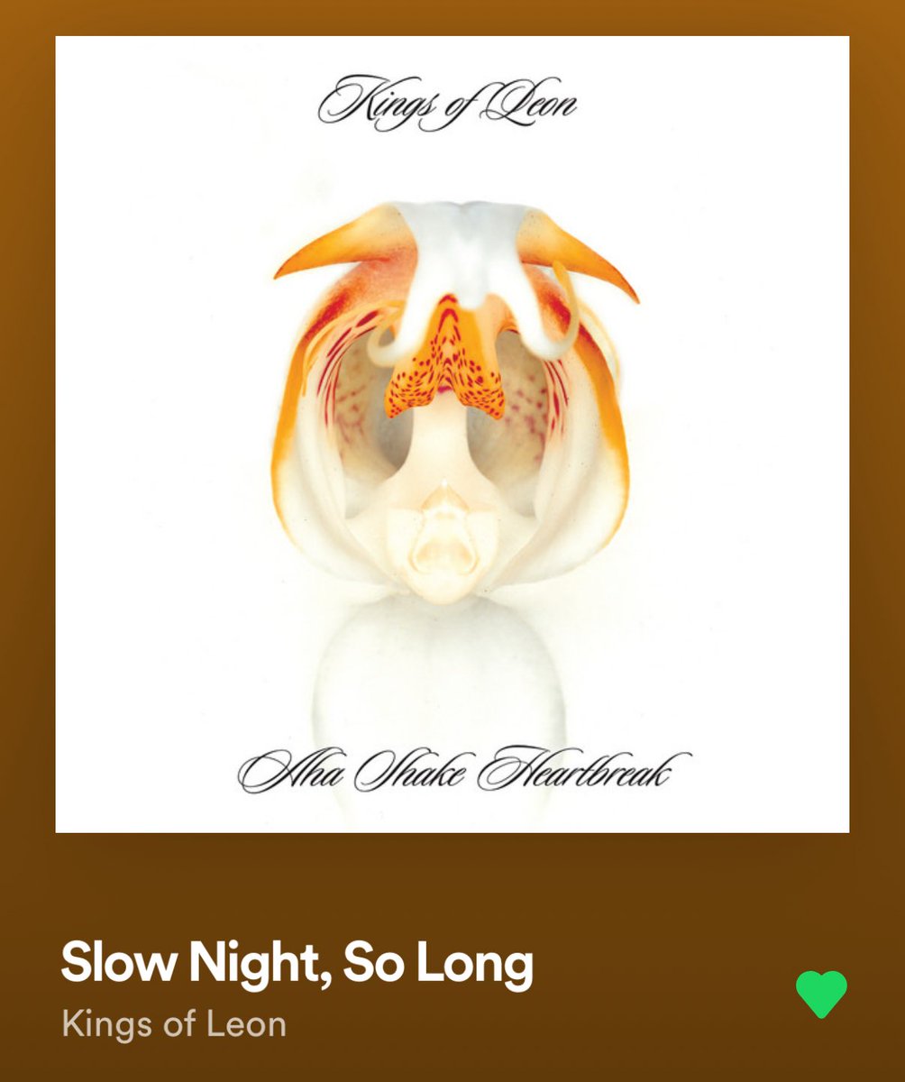 mitchellbeer tweet media