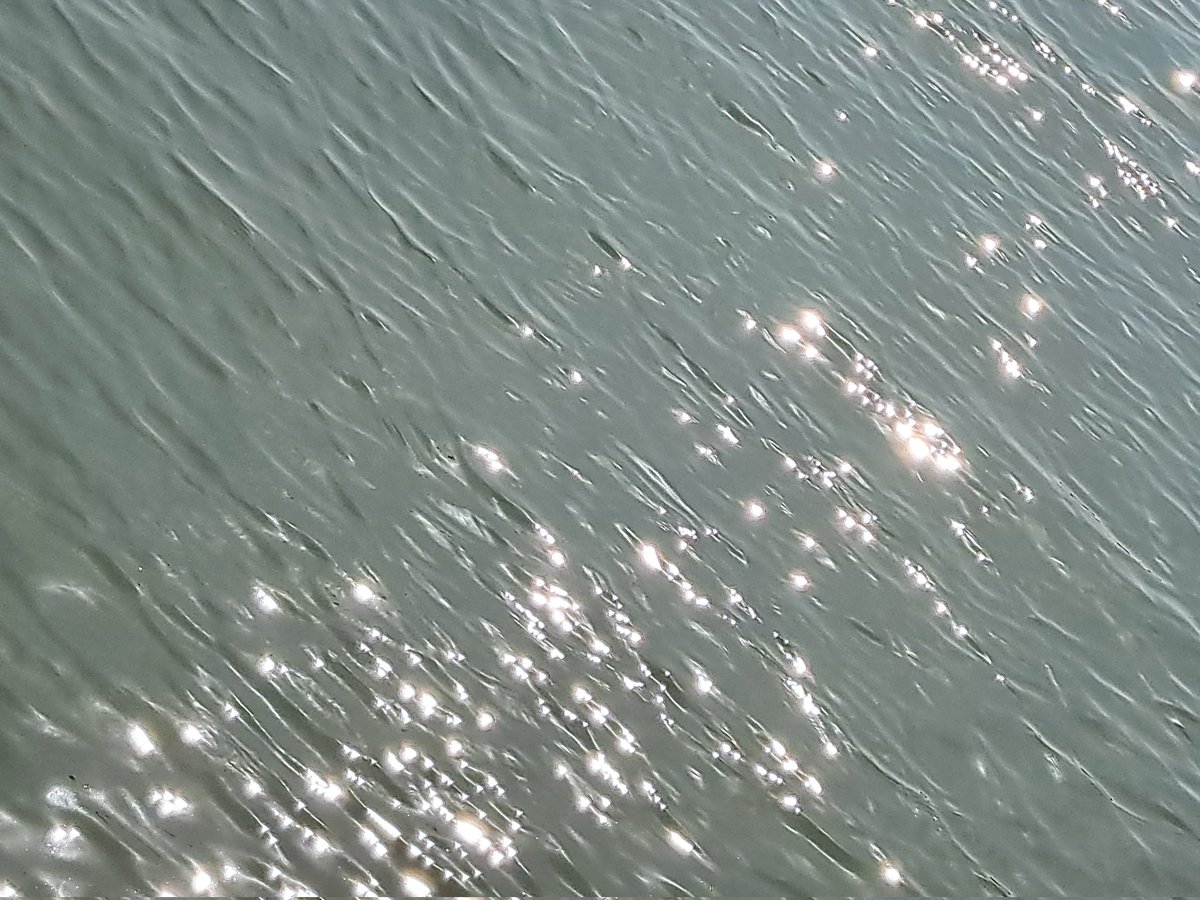 AuthorTracyRees's tweet image. Sea lavender and sparkles. It's still hot but cool enough to enjoy walks again. I bumped into my old boss from a long-ago job today and it was so lovely to connect #walking #sea #Wednesday #sunshine #books #authorlife