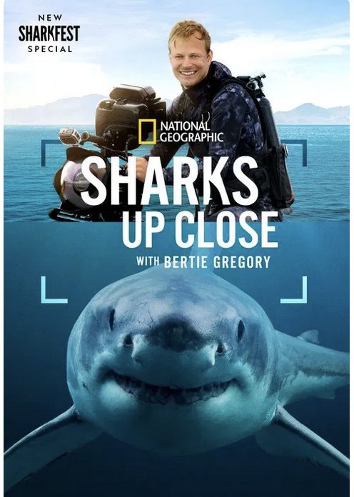 ReviewsLady's tweet photo. #SharksUpClose - 3/5
@JioHotstar
Languages - Telugu, Hindi, Tamil & English
Runtime - 44mins
Genre - Documentary https://t.co/MZasbirA60