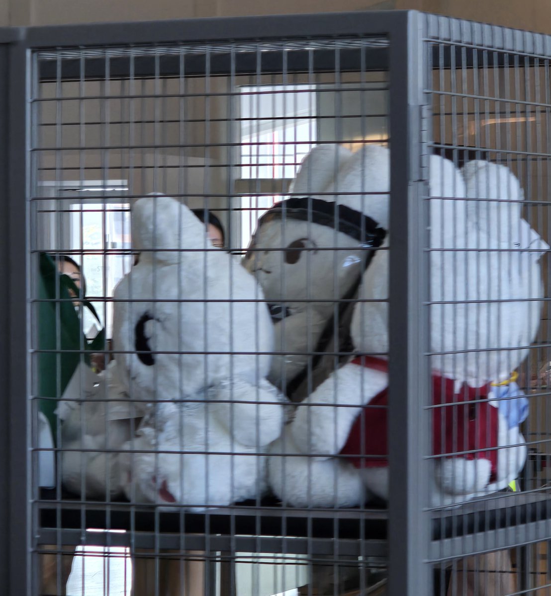 NCTDAOYlNG's tweet photo. welcome to the doyoung doll jail https://t.co/5USWY6KtAT