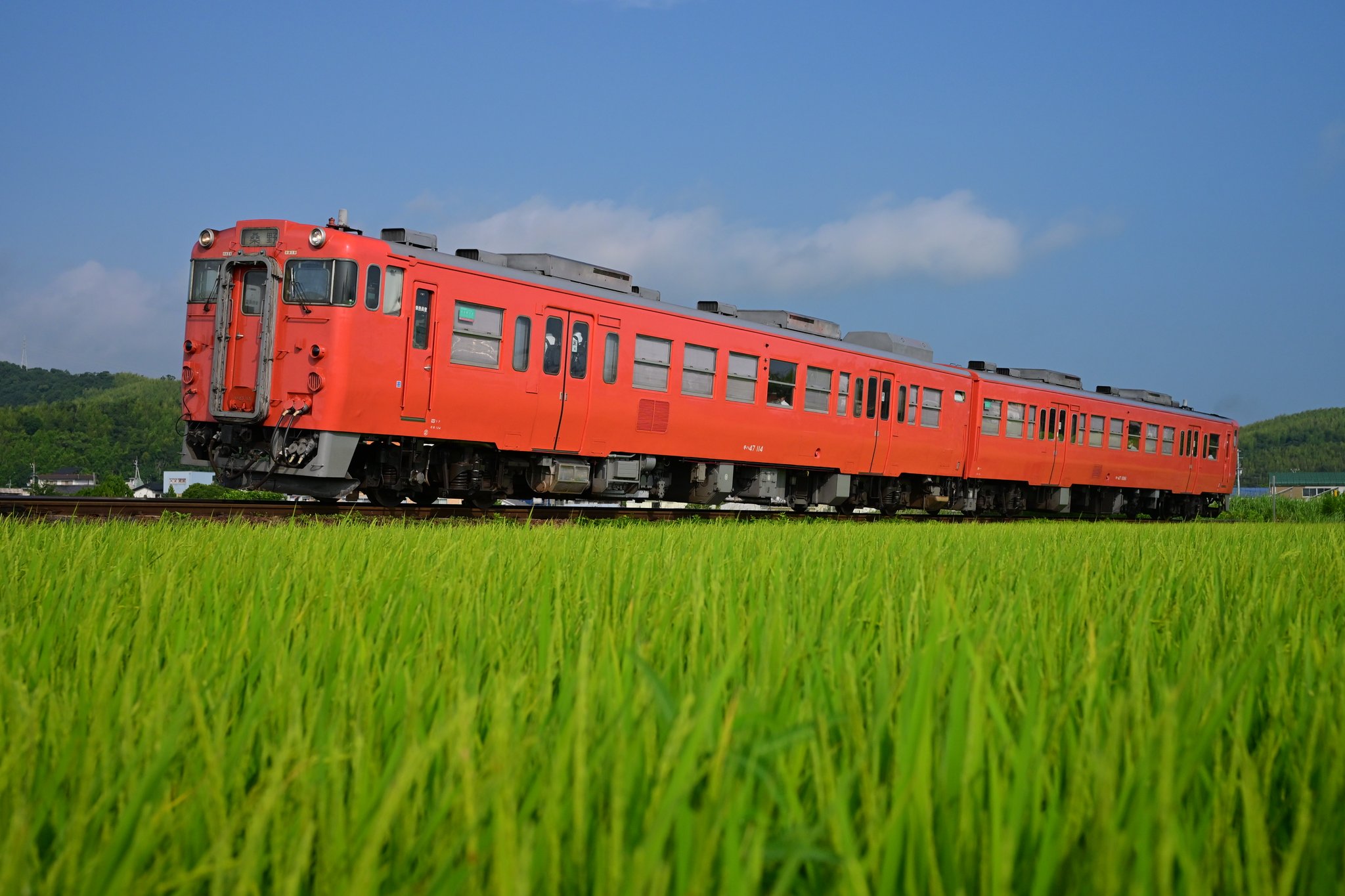 古砡　環　22g タトチ　東な7-0405☆2F Amazon｜髙儀(Takagi) 18-8ステンレス ラセン二重円錐茶こし 大