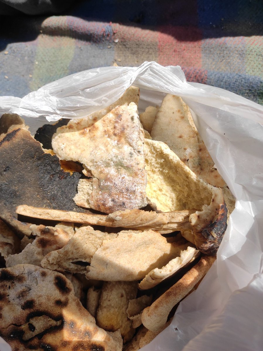 wesam8517's tweet image. "I rummaged through the trash and found nothing but moldy bread, so I soaked it in water and ate it. We're dying of hunger here. Everyone left me. Why all this silence? We're dying, people! 💔😭
chuffed.org/project/131113