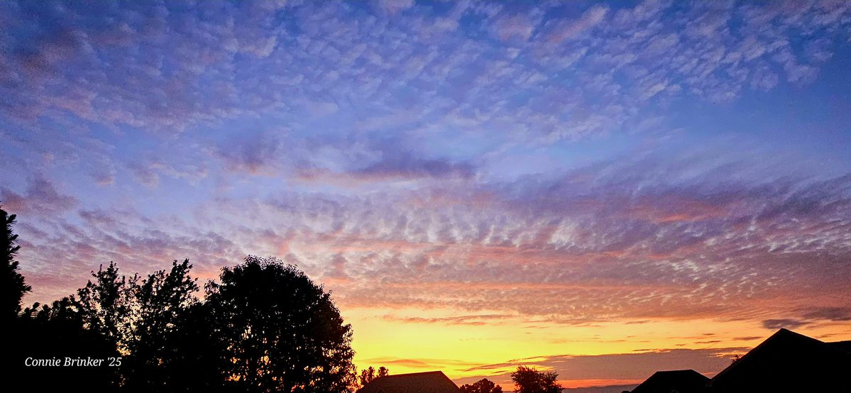 ConnieBrinkerWx's tweet image. Come home from work to this beautiful mackerel sunrise! Scottdale, PA 5.30a @PAStormTrackerz @NWSPittsburgh #pawx #wxtwitter