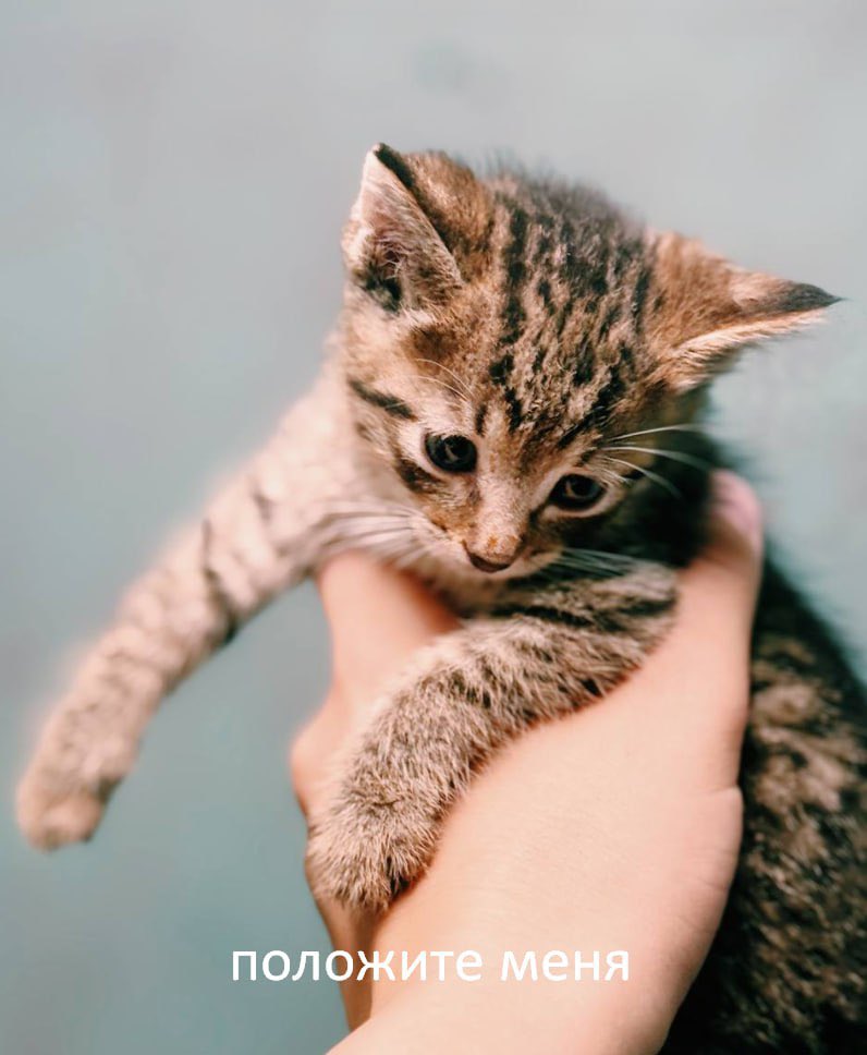 Как настроение, твиттер?