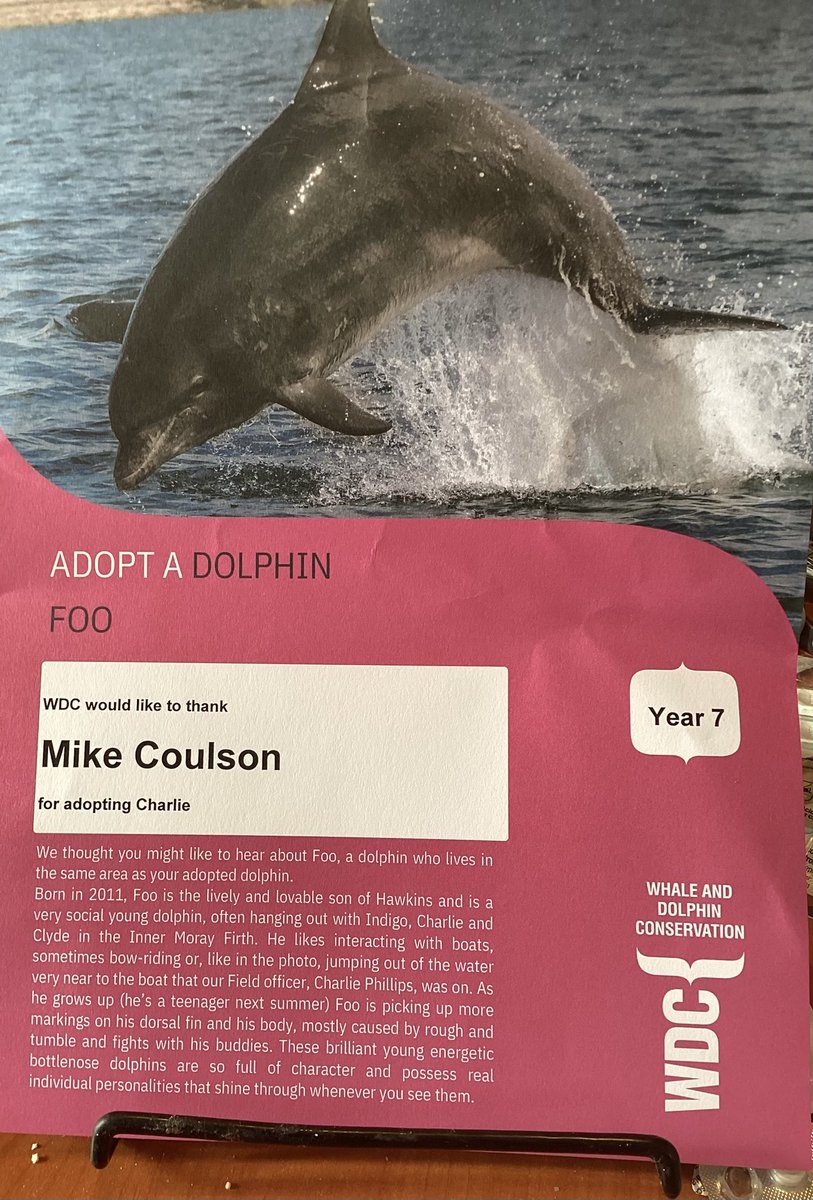 Adopt a dolphin Update June 2025 youtu.be/a-K0ZVAt_PE?si… 
It’s been over 6 years since I adopted Charlie, named after the narrator of this video. You too can adopt a dolphin, humpback whale, or orca by clicking on this link uk.whales.org/support/adopt/ Cost from £4 per month.