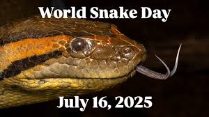 KanyemboBenson's tweet photo. 🐍 It’s #WorldSnakeDay2025!  
Snakes aren’t scary—they’re vital to ecosystems.  
🌍 3,000+ species. 🕊️ Some live 40+ years.  
Let’s replace fear with fascination and protect these incredible creatures.  Zambia
#SnakeConservation #SnakeAwareness #LoveSnakes https://t.co/MiyyipjNpw