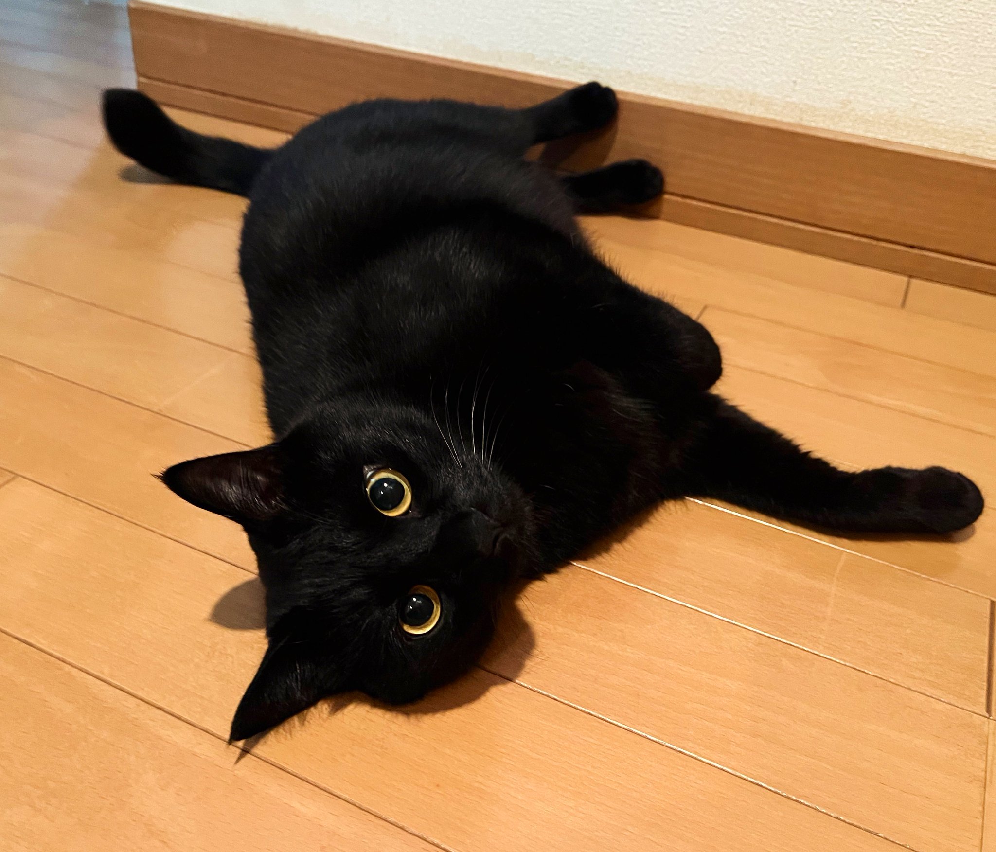 うに3才 on X: 