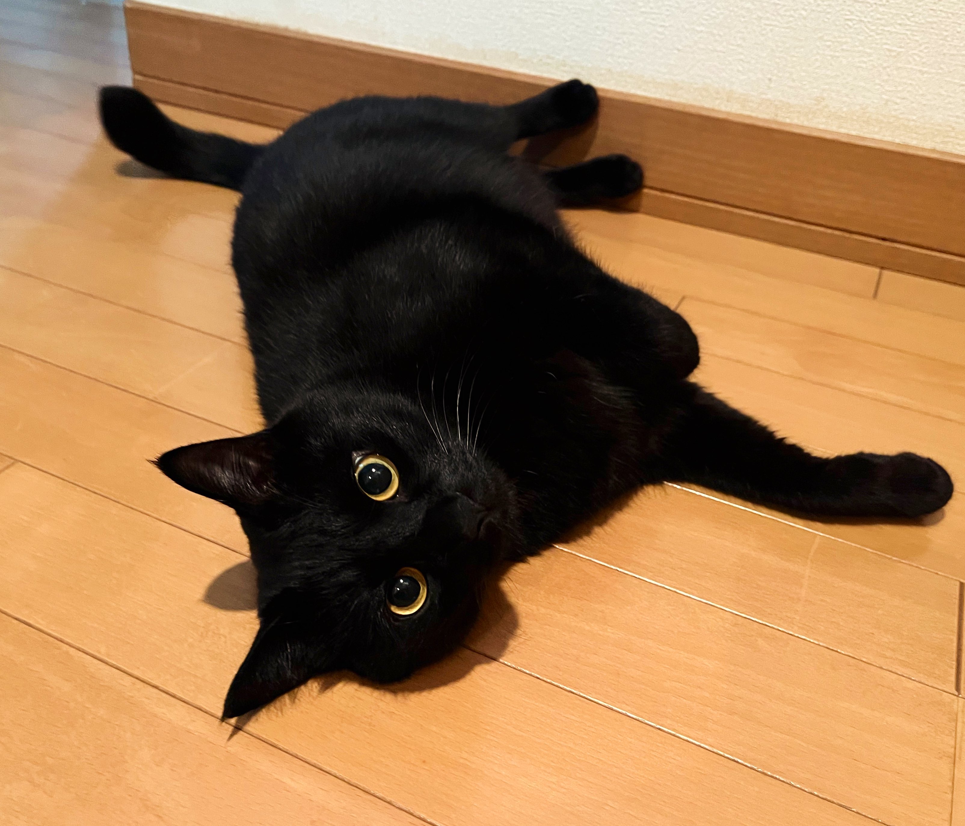 うに3才 on X: 