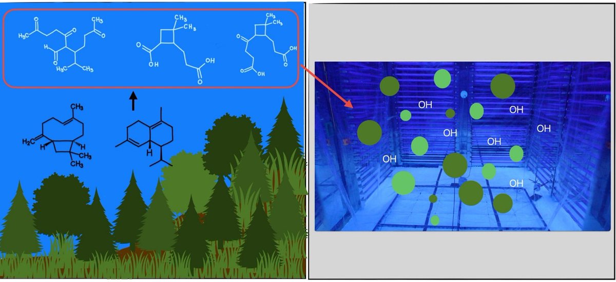 CSTACC_FORTH (@cstacc) on Twitter photo Vasilakopoulou et al. explored later-generation SOA formation from reactions of 3 first-generation sesquiterpene ozonolysis products with OH. An O:C of 0.6 was reached and fragmentation was surprisingly low.
<a href="/atmo_access/">ATMO ACCESS</a> <a href="/ELIDEK_HFRI/">Hellenic Foundation for Research & Innovation-HFRI</a> <a href="/SNForg/">Stavros Niarchos Foundation (SNF)</a>
doi.org/10.1021/acsest… Vasilakopoulou et al. explored later-generation SOA formation from reactions of 3 first-generation sesquiterpene ozonolysis products with OH. An O:C of 0.6 was reached and fragmentation was surprisingly low.
<a href="/atmo_access/">ATMO ACCESS</a> <a href="/ELIDEK_HFRI/">Hellenic Foundation for Research & Innovation-HFRI</a> <a href="/SNForg/">Stavros Niarchos Foundation (SNF)</a>
doi.org/10.1021/acsest…