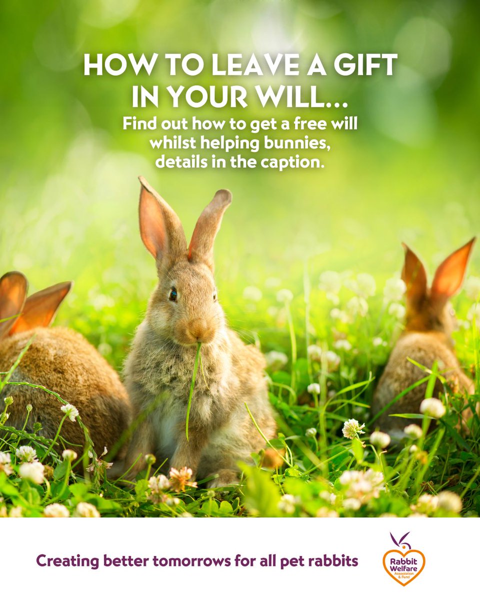 RabbitRWAF's tweet image. Leave a gift in your Will to support rabbit welfare. Use our partner @NFWNetwork to write or amend a simple Will for free with a local solicitor 🐰
Start here: myfreewillsportal.org/rabbitwelfare
💚
Questions? Email jane@rabbitwelfare.co.uk
#RWAF #NFWNetwork