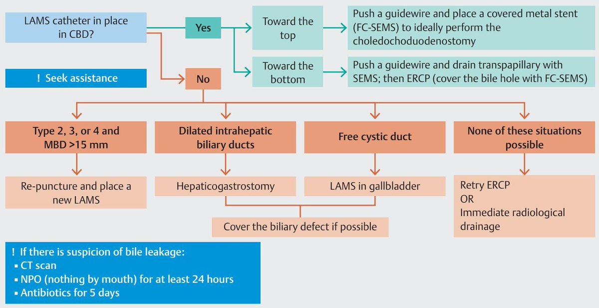 SEEDendoscopia's tweet image. 📣 Si practicas o quieres comenzar a realizar drenaje biliar mediante coledocoduodenostomía (EUS-CDS), te interesa❗️❗️
❌El fracaso técnico de EUS-CDS se estima en un 7%, cuando ocurre se asocia a un 12 % de mortalidad. Los principales factores de riesgo que contribuyen al…