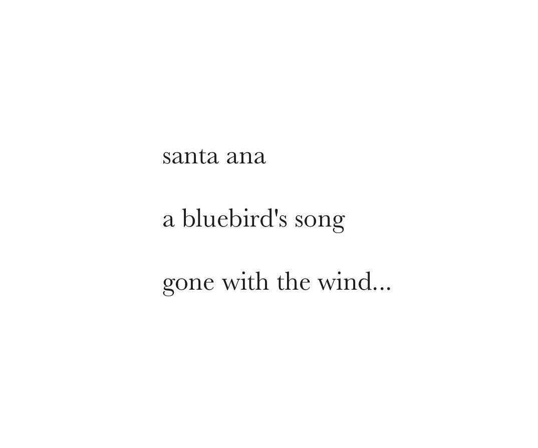 FreshoutMag's tweet image. #haiku by Adele Evershed, a Welsh poet, currently living on America’s East Coast. @ad_libby #blue #poetry #birds #poetrylovers #poetrycommunity #birdsong #micropoetry #USA #wales