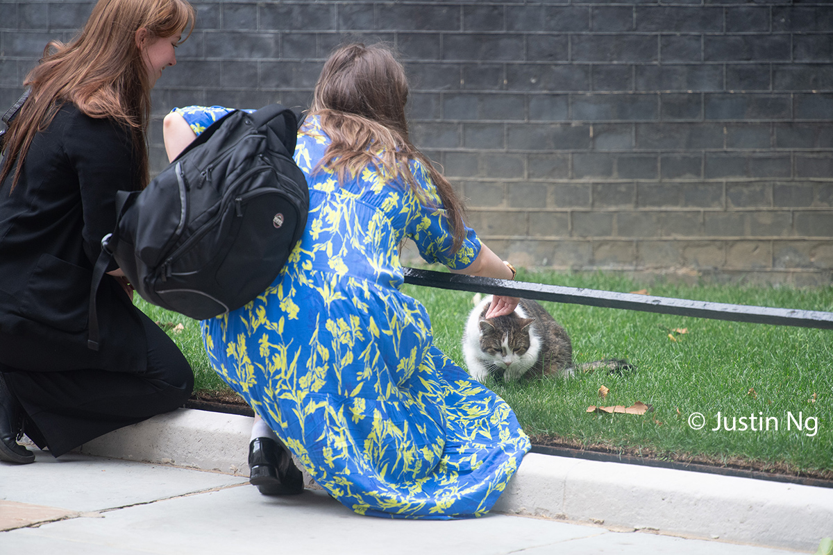 Justin Ng tweet media