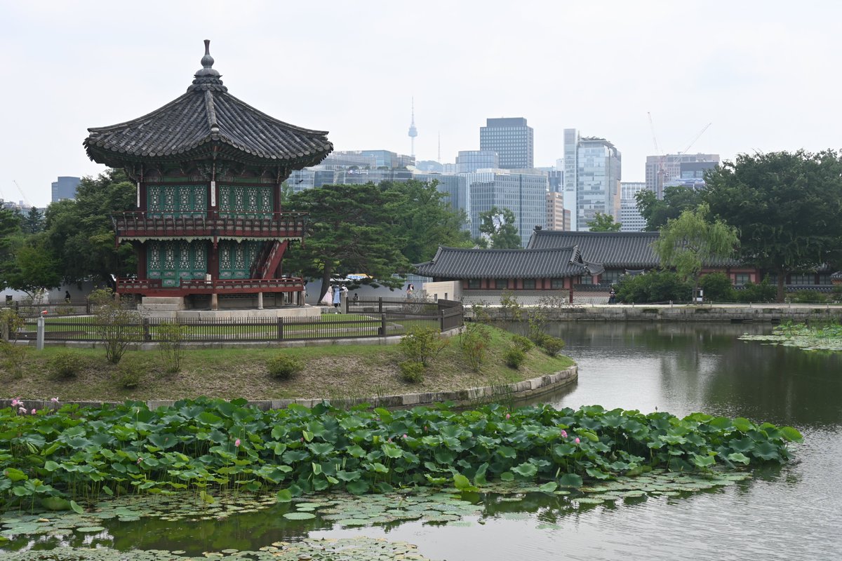 ejrquartz's tweet image. 📆Throwback to one year ago in vibrant Busan for the @CosparHQ Scientific Assembly! EJR-Quartz’s @HiggsSearcher was there capturing content for COSPAR.🪐
🌍Next up: the COSPAR Symposium in November. We’re also looking forward to the next Assembly in 2026!
#space #science #travel
