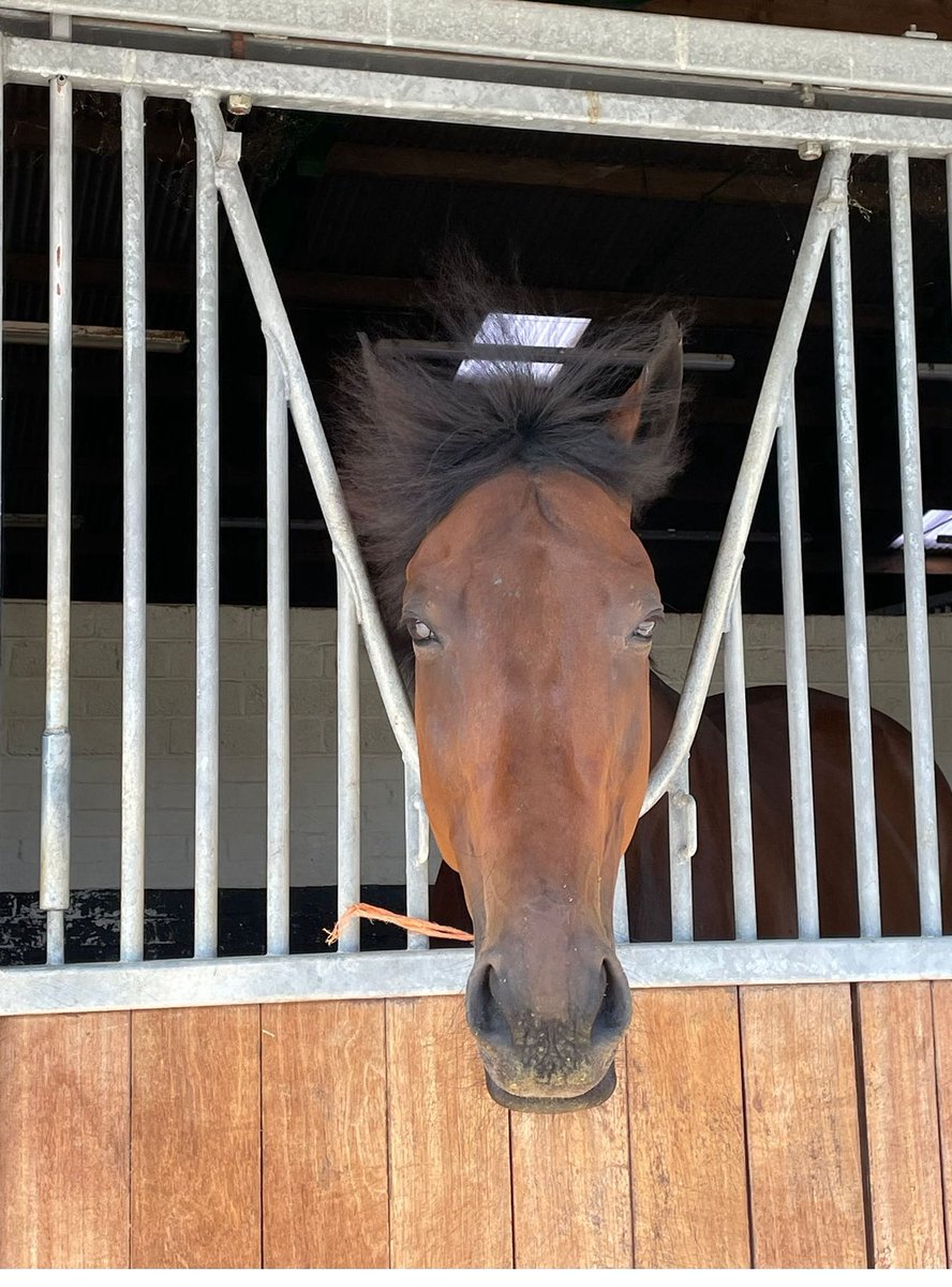 Gareth Williams. tweet media