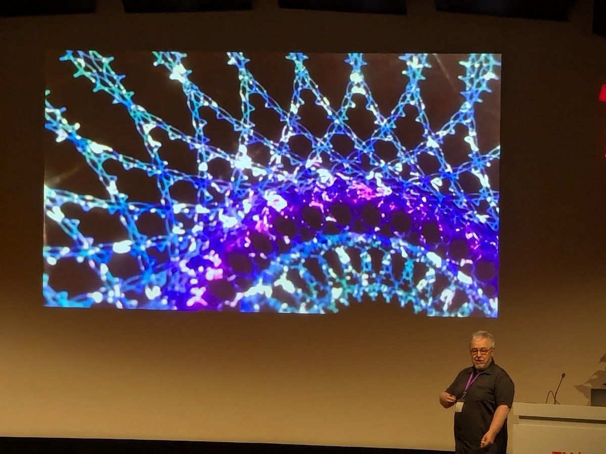 msmathcomp's tweet image. Second keynote today at the @BridgesMathart conference is by @juergenrg on &quot;Études in Symmetric Pattern Drawing.&quot; He takes us into his app iOrnament and not only shows how to create beautiful #art with it, but also how much #math is behind it.
📜 archive.bridgesmathart.org/2025/bridges20…