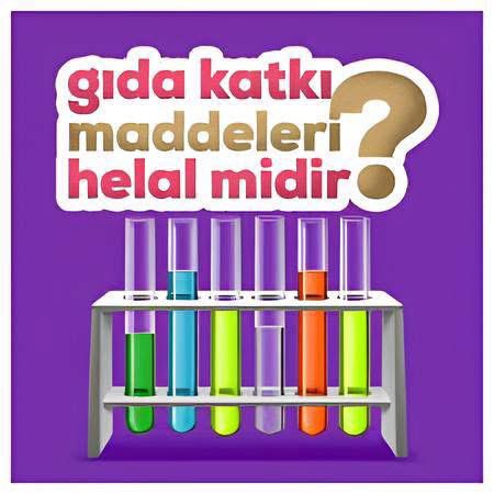 DİKKAT! TÜM GIDA KATKI MADDELERİ MASUM DEĞİLDİR! gidaraporu.com/masumdegil_g.h…