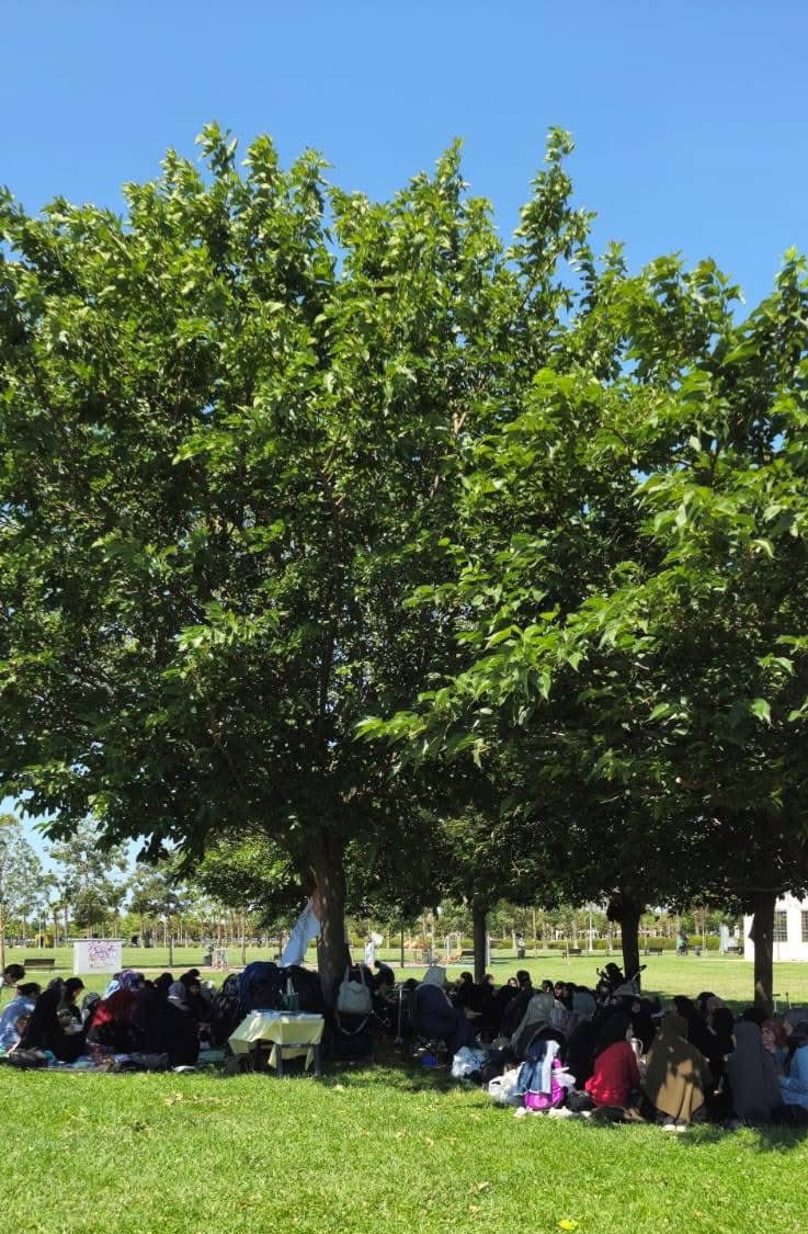 GİMDES HANIMLAR KURULLARINDAN UHUVVET PİKNİK PROGRAMI gidaraporu.com/gimdes-hanimla…