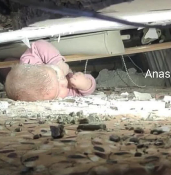 notkoncom's tweet image. #GazaGenocide‌