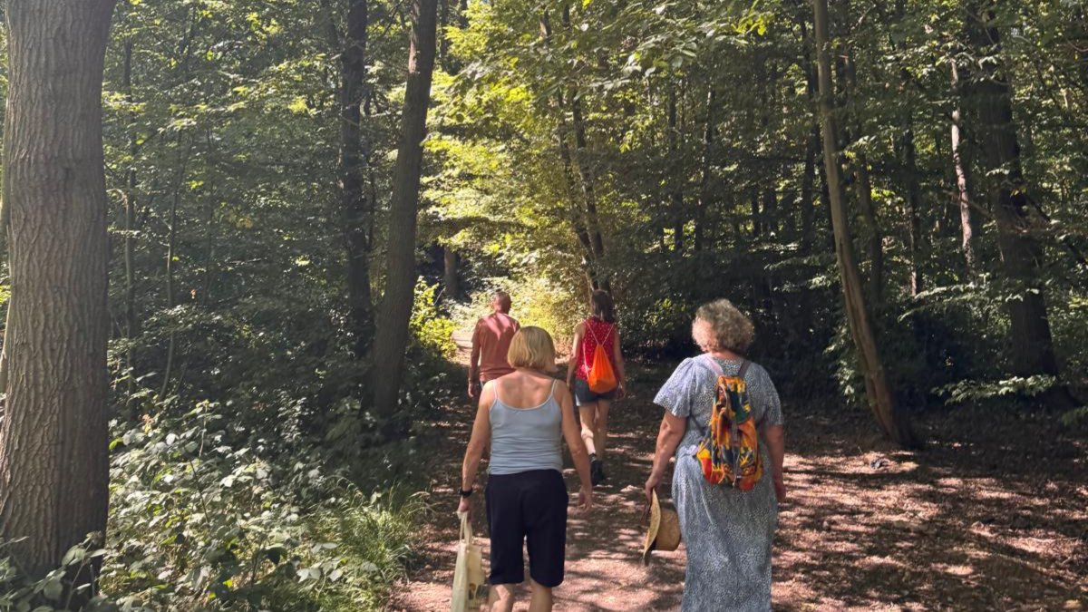 Carers_first's tweet image. Who doesn&apos;t love a nice fresh walk on a sunny day? 🌳☀️

Here are some photos from our recent Care2Walk around South Essex on Friday 11 July. Carers explored the great beautiful Hockley Woods! Visit our website to book onto the next one! eu1.hubs.ly/H0lN7Ld0

#Care2Walk…