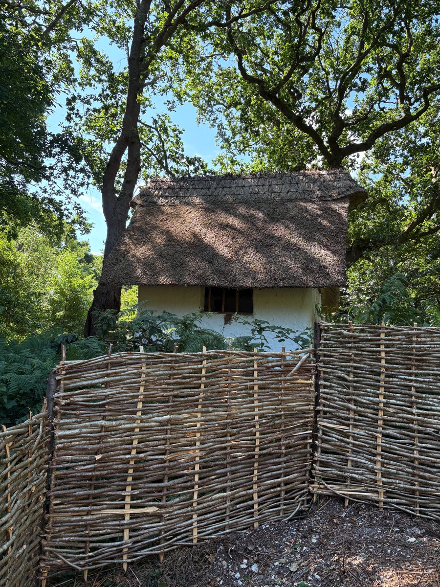 c_dodson_thatch's tweet image. The Hovel at Little Woodham a year on, starting to grey down now. The overhead tree cover makes it grey faster than normal. #thatch #thatching #masterthatchers #ruralcrafts #hampshire #gosport