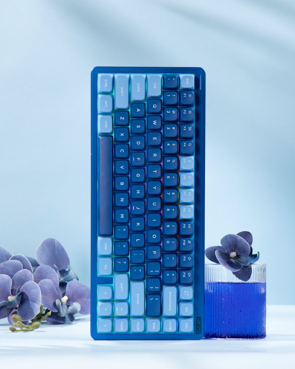 nuphystudio's tweet image. Summer sale is almost over—only 48 hours left!
What’s your summer keyboard mood?
🍋 Zesty & Fresh
💗 Soft & Sweet
☁️ Clean & Calm
🩵 Cool & Collected
No matter your vibe, the perfect keyboard is waiting.
#nuphy #keyboard #summervibes #summersale #Countdownto #customkeyboard…