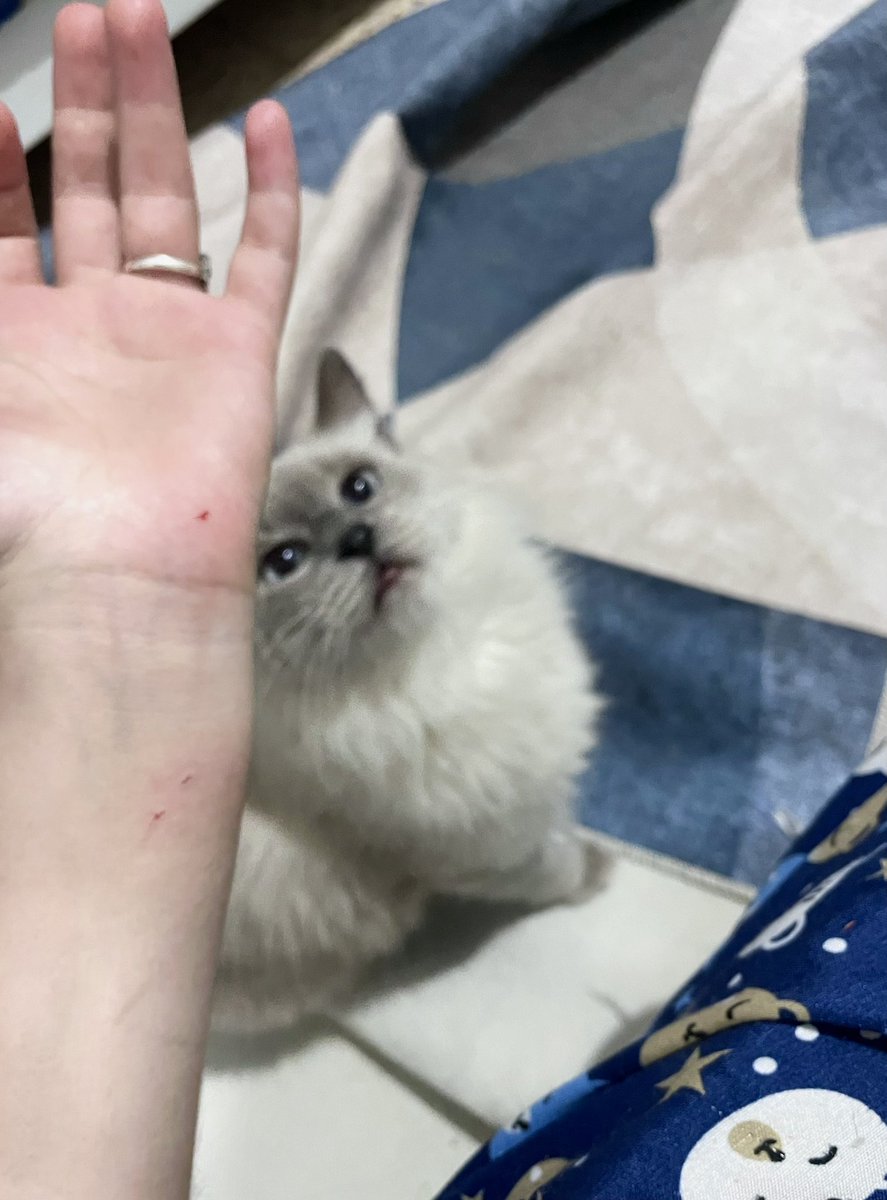 She got no guilt !!!! 

Gmeow💜