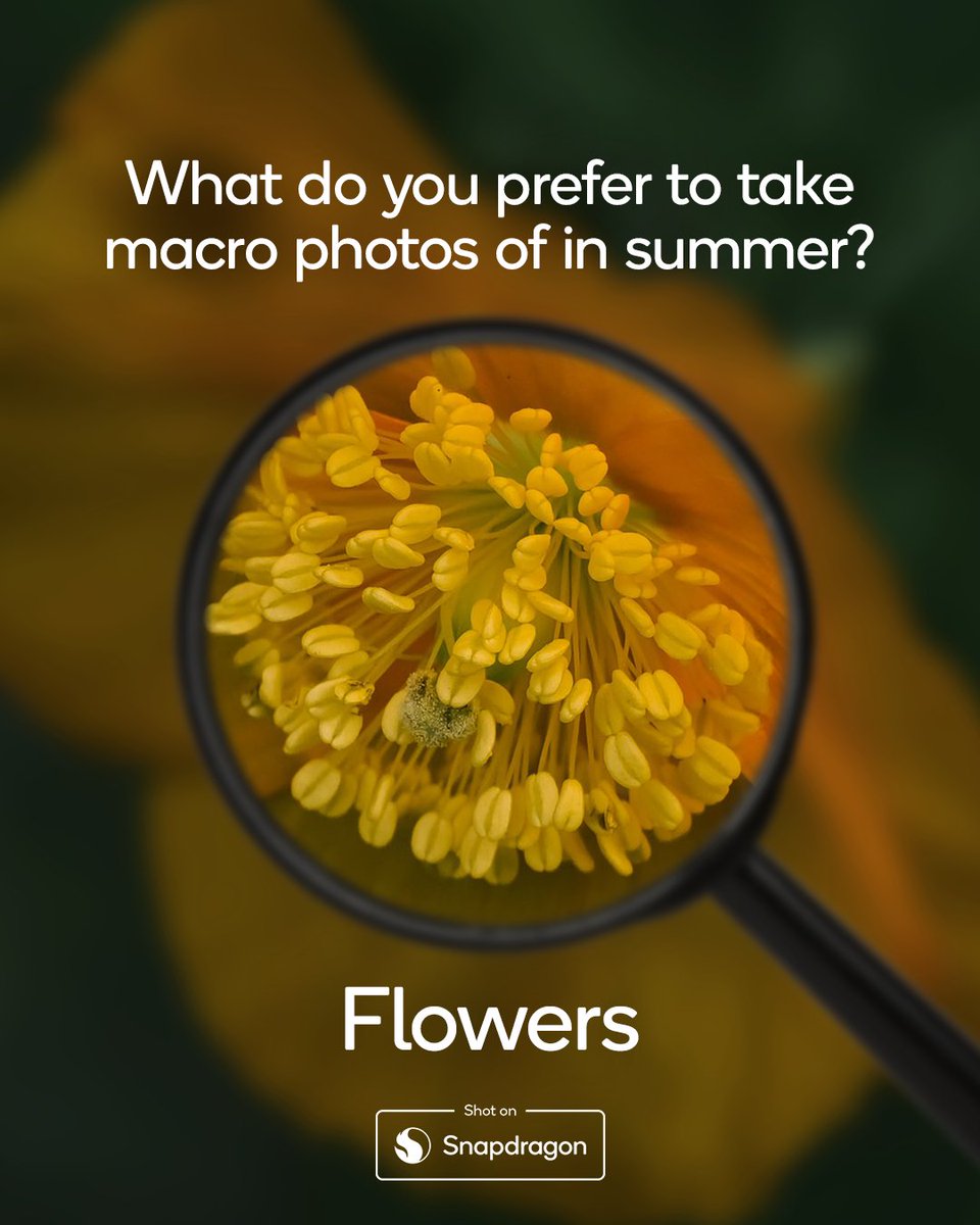 Snapdragon_UK's tweet image. 🌼, 🍃, 🐝 or 🌱?
@orange_scooter, @OfficialMr_West, @rick00357876097 and @yo_mismo1 captured these stunning Macro shots, all #ShotOnSnapdragon 🙌