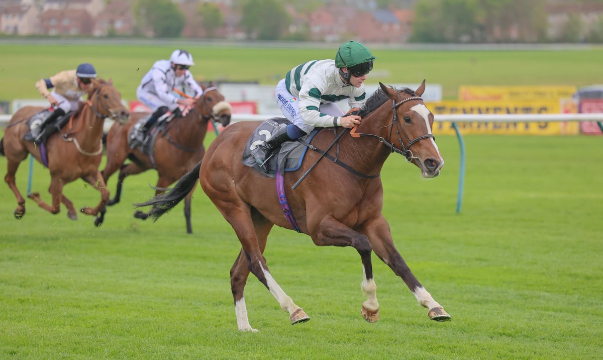 RFO Official (@rfoutlook) on Twitter photo Great Scott! Out winter columnist <a href="/K_scottracing/">Katie Scott Racing</a> has checked in with the <a href="/rfoutlook/">RFO Official</a> this week for a Trainer File. Her string includes a filly who has already won five times this year!
"The sky is the limit at the minute – the dream is alive so we’ll see how we go." Great Scott! Out winter columnist <a href="/K_scottracing/">Katie Scott Racing</a> has checked in with the <a href="/rfoutlook/">RFO Official</a> this week for a Trainer File. Her string includes a filly who has already won five times this year!
"The sky is the limit at the minute – the dream is alive so we’ll see how we go."